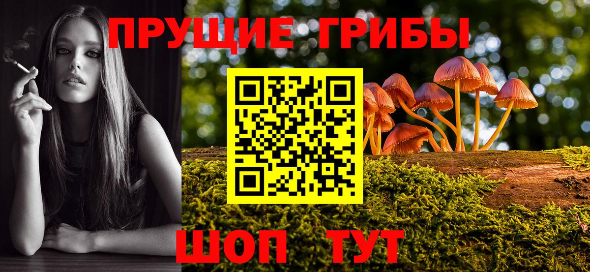 Псилоцибиновые грибы MAGIC MUSHROOMS Губкинский