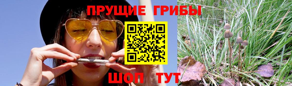 Псилоцибиновые грибы мицелий  Галлюциногенные грибы мицелий  Вход с VPN  Губкинский 